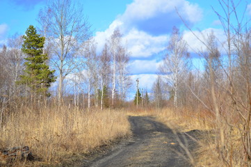 road in the forest