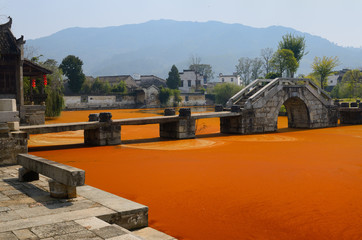 Bright red algae scum on Longxi river with stone bridge in Chengkan village China