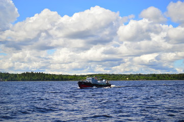 Fototapeta premium russian open spaces on a summer day