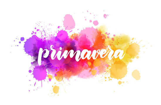 Primavera - lettering on watercolor splash