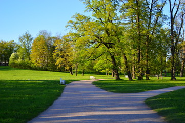 path in the park