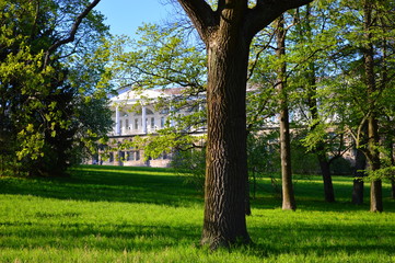  russian open spaces on a summer day