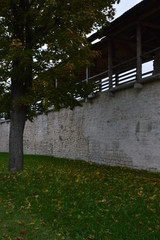  russian open spaces on a summer day
