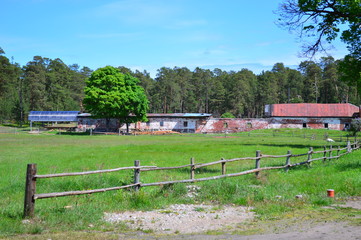  russian open spaces on a summer day