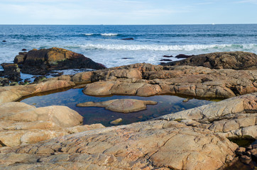 Restful location near ponding in the shoreline rocks at Black Point in Rhode Island