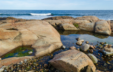 Restful location near ponding in the shoreline rocks at Black Point in Rhode Island