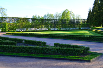 park in peterhof
