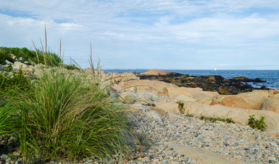Grasses and rocky shoreline along Black Point Rhode Island