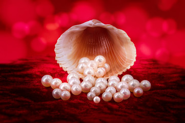 Red temptatin - Akoya Pearls and a shell on fire red velvet