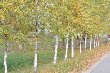  Pushkin places