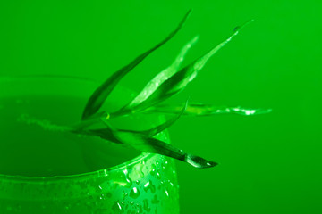 Green cold drink with tarragon in a glass in monochrome