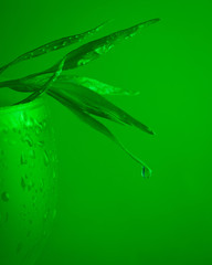 Green cold drink with tarragon in a glass in monochrome