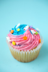 Cupcake on a blue background