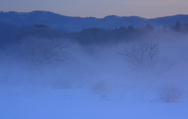 Obraz na płótnie Canvas 冬の雪景色