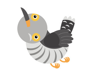 Cartoon cuckoo colorful bird on white background - illustration