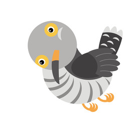 Cartoon cuckoo colorful bird on white background - illustration