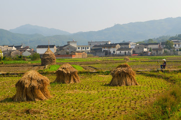 Obraz premium Young female art student painting haystacks and Hui style houses in farm field at Yanggancun village China