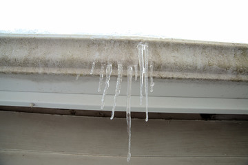 icicles in  the snow