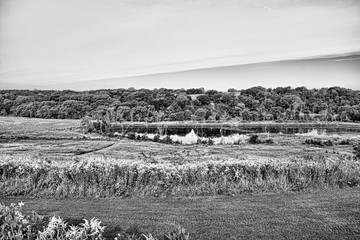 Black and white upload