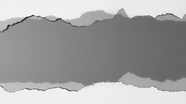 Stop motion animated white torn paper on gray background. collection paper rip