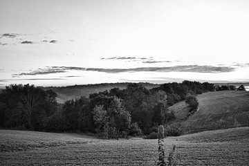 Fototapeta premium Black and white upload