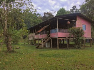 old wooden house in the forest of Talamanca Costa Rica