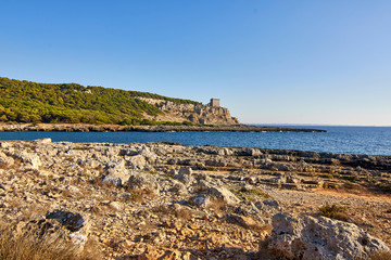 Torre dell'Alto in the Regional Park of Porto Selvaggio in Apulia - Italy