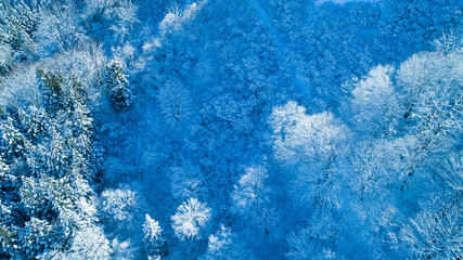 雪山・ドローン