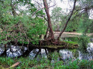 A lake surrounded by fields and forests in summer in Russia