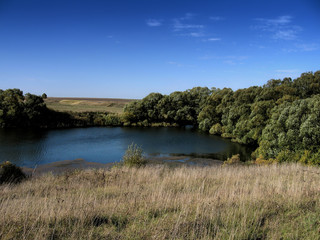 A lake surrounded by fields and forests in summer in Russia