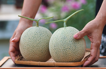 Close-up view of hand pick a melon