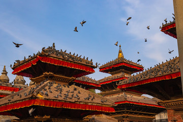 Various temples located in Kathmandu durbar square(World Heritage Sites declared by UNESCO) and is one of the major attraction of Kathmandu