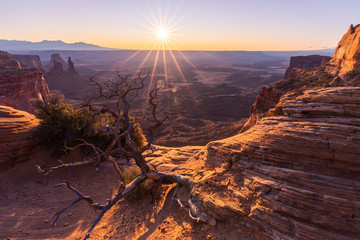 Sunrise Sun Star Near Mesa Arch, Canyonlands National Park