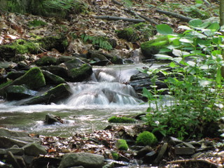 Cascade