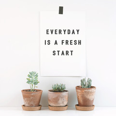 Inspirational quote "Everyday is a fresh start". Cactus in clay pots over white background.