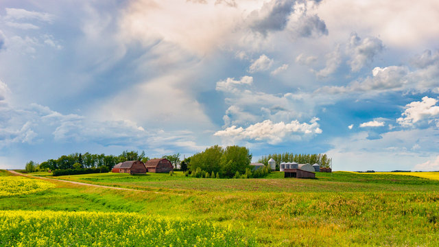 Saskatchewan Farm