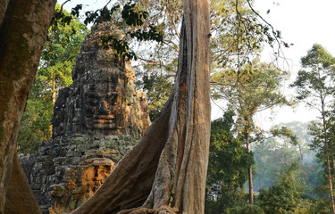 Stone face of God with large tree in forest at Angkor Thom, One of the main attractions, Beautiful tourist attractions,, Siem Reap , Cambodia