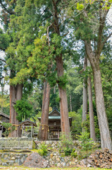 Fototapeta na wymiar 京都　静原神社