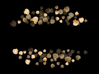 Gold seashells isolated, pearl bivalved mollusks