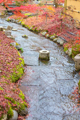 Natural water way with fallen red maple leaves, Japan natural landscape background