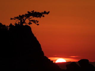 Obraz premium 日本 神奈川県 森戸海岸 夕景 冬