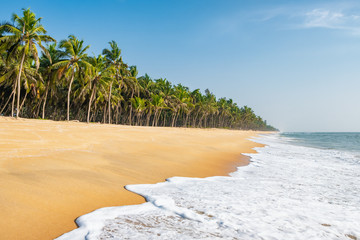 Long empty tropical beach with coconut palms in Kerala, India
