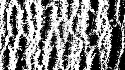 Bark Texture. Tree Bark Black White Pattern. Vector Illustration