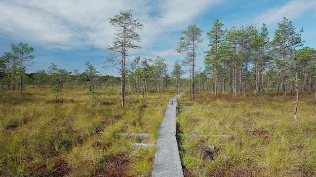 POV moving along the wooden path over swamp in finnish national park, Finland