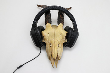 calavera real cráneo de chivo con audífonos gamer en fondo blanco