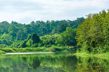 Scenic views of the lake surrounded by trees against sky