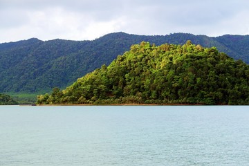 Green peace at the sea