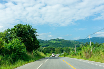 Fototapeta premium Rural asphalt road amidst trees
