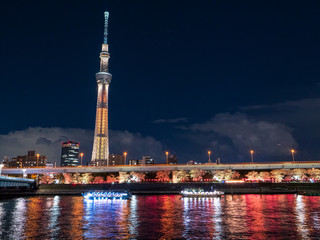 隅田川沿いの夜桜と屋形船、ライトアップされたスカイツリー