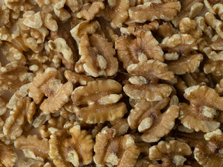 美味しい生クルミ